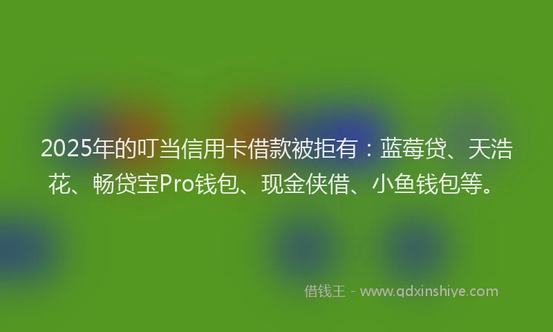 2025年的叮当信用卡借款被拒有：蓝莓贷、天浩花、畅贷宝Pro钱包、现金侠借、小鱼钱包等。