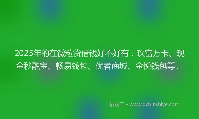 2025年的在微粒贷借钱好不好有：玖富万卡、现金秒融宝、畅易钱包、优者商城、金悦钱包等。