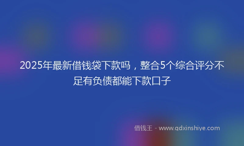 2025年最新借钱袋下款吗，整合5个综合评分不足有负债都能下款口子