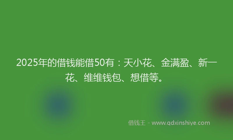 2025年的借钱能借50有：天小花、金满盈、新一花、维维钱包、想借等。