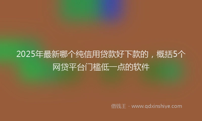 2025年最新哪个纯信用贷款好下款的，概括5个网贷平台门槛低一点的软件