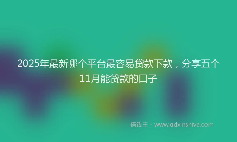 2025年最新哪个平台最容易贷款下款，分享五个11月能贷款的口子
