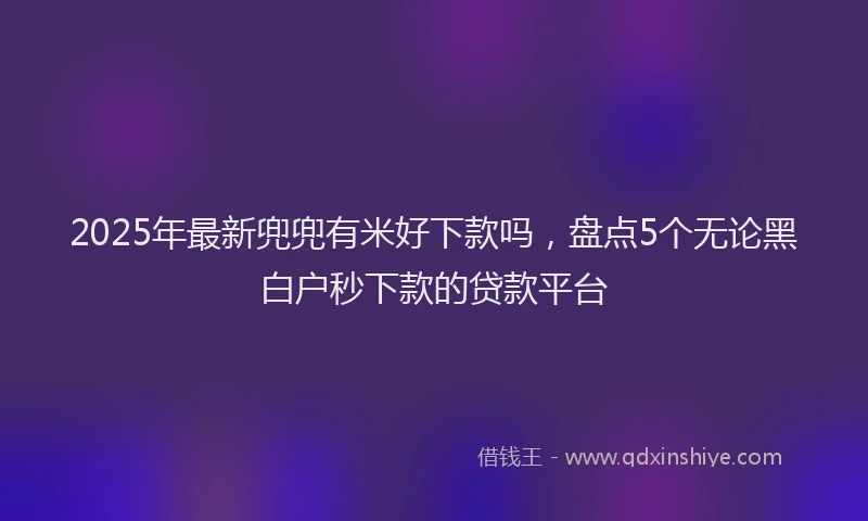 2025年最新兜兜有米好下款吗，盘点5个无论黑白户秒下款的贷款平台