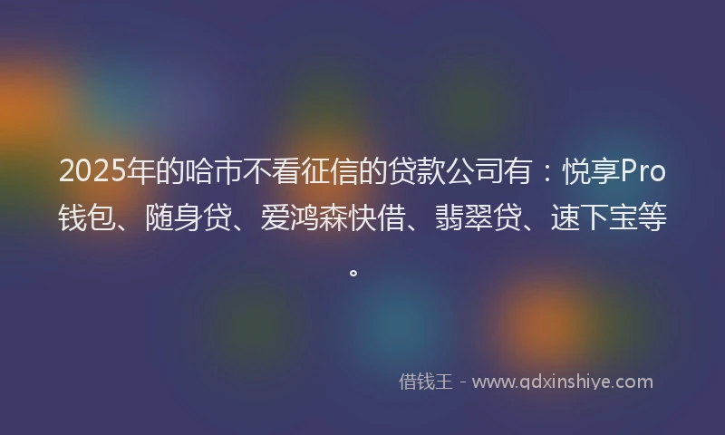 2025年的哈市不看征信的贷款公司有：悦享Pro钱包、随身贷、爱鸿森快借、翡翠贷、速下宝等。