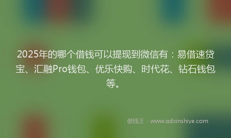 2025年的哪个借钱可以提现到微信有：易借速贷宝、汇融Pro钱包、优乐快购、时代花、钻石钱包等。