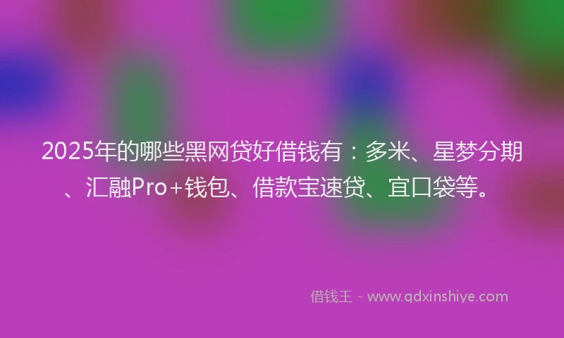 2025年的哪些黑网贷好借钱有：多米、星梦分期、汇融Pro+钱包、借款宝速贷、宜口袋等。