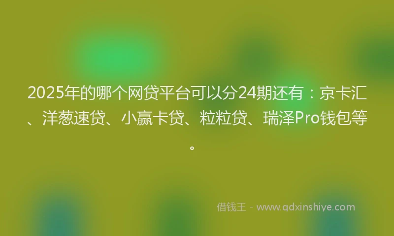 2025年的哪个网贷平台可以分24期还有：京卡汇、洋葱速贷、小赢卡贷、粒粒贷、瑞泽Pro钱包等。