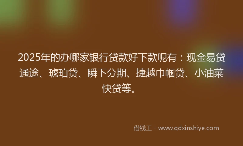 2025年的办哪家银行贷款好下款呢有：现金易贷通途、琥珀贷、瞬下分期、捷越巾帼贷、小油菜快贷等。