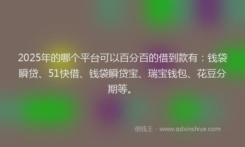 2025年的哪个平台可以百分百的借到款有：钱袋瞬贷、51快借、钱袋瞬贷宝、瑞宝钱包、花豆分期等。