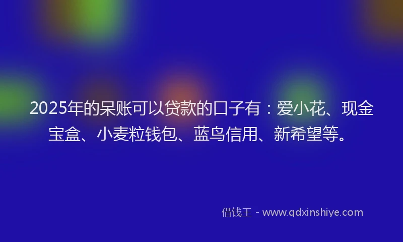 2025年的呆账可以贷款的口子有：爱小花、现金宝盒、小麦粒钱包、蓝鸟信用、新希望等。