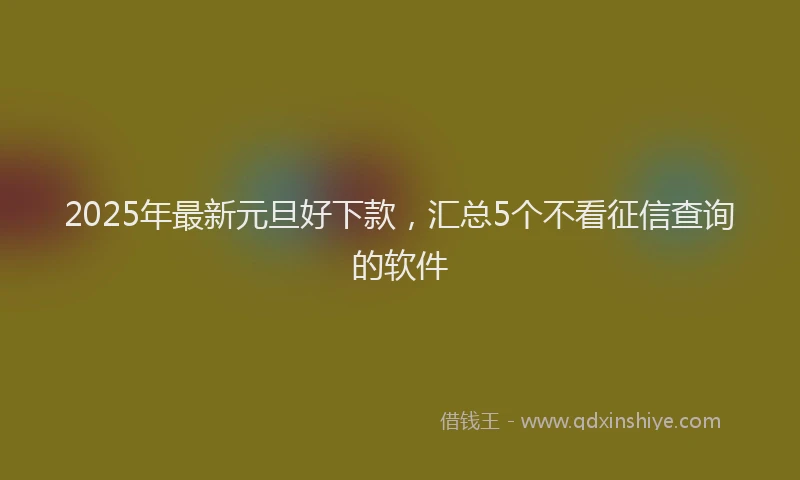 2025年最新元旦好下款，汇总5个不看征信查询的软件