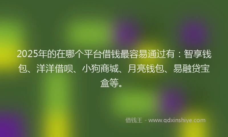 2025年的在哪个平台借钱最容易通过有：智享钱包、洋洋借呗、小狗商城、月亮钱包、易融贷宝盒等。