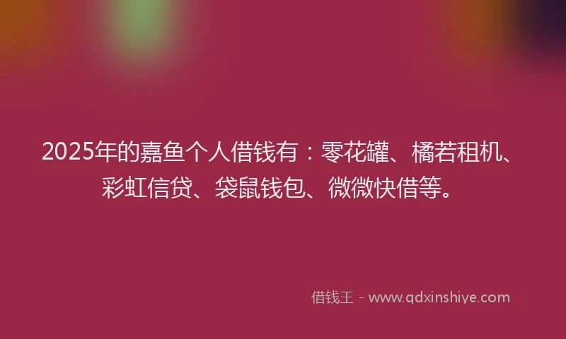 2025年的嘉鱼个人借钱有：零花罐、橘若租机、彩虹信贷、袋鼠钱包、微微快借等。