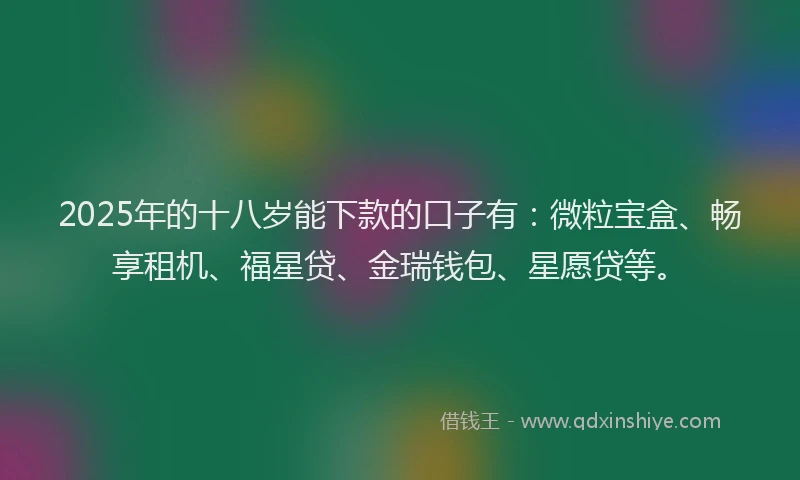 2025年的十八岁能下款的口子有：微粒宝盒、畅享租机、福星贷、金瑞钱包、星愿贷等。