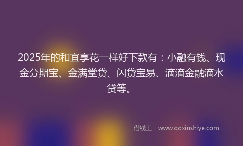 2025年的和宜享花一样好下款有：小融有钱、现金分期宝、金满堂贷、闪贷宝易、滴滴金融滴水贷等。