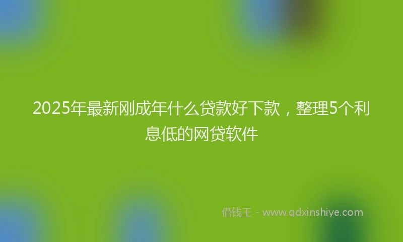 2025年最新刚成年什么贷款好下款，整理5个利息低的网贷软件
