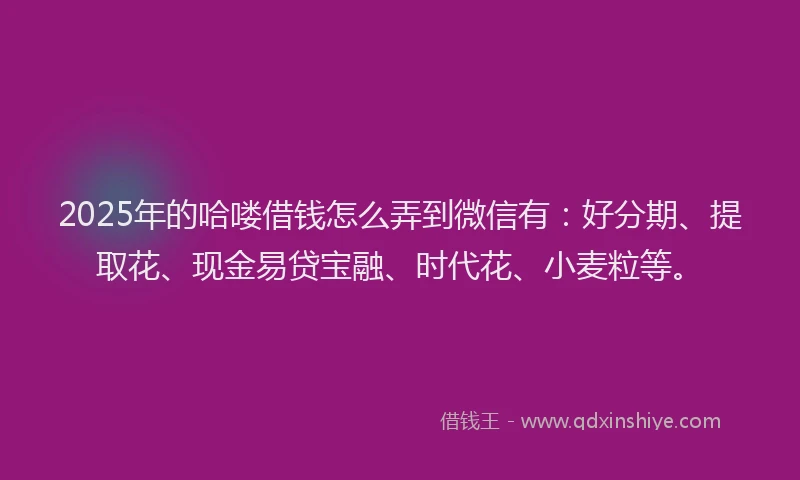 2025年的哈喽借钱怎么弄到微信有：好分期、提取花、现金易贷宝融、时代花、小麦粒等。