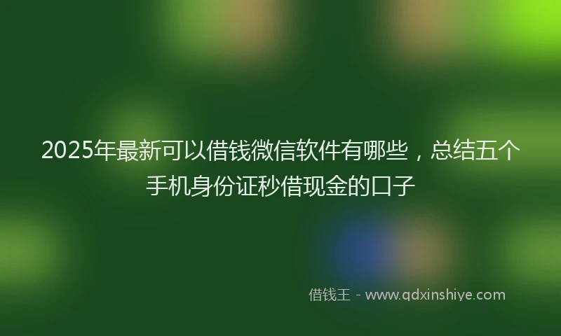 2025年最新可以借钱微信软件有哪些，总结五个手机身份证秒借现金的口子