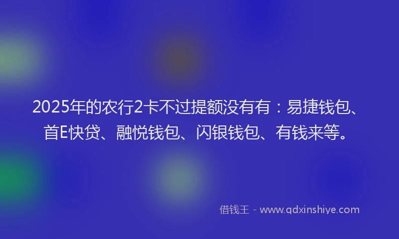 2025年的农行2卡不过提额没有有：易捷钱包、首E快贷、融悦钱包、闪银钱包、有钱来等。