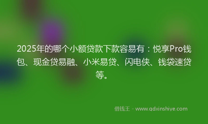 2025年的哪个小额贷款下款容易有：悦享Pro钱包、现金贷易融、小米易贷、闪电侠、钱袋速贷等。