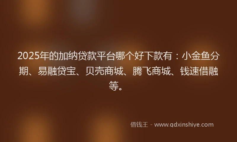 2025年的加纳贷款平台哪个好下款有：小金鱼分期、易融贷宝、贝壳商城、腾飞商城、钱速借融等。