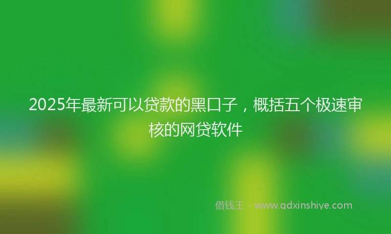 2025年最新可以贷款的黑口子，概括五个极速审核的网贷软件
