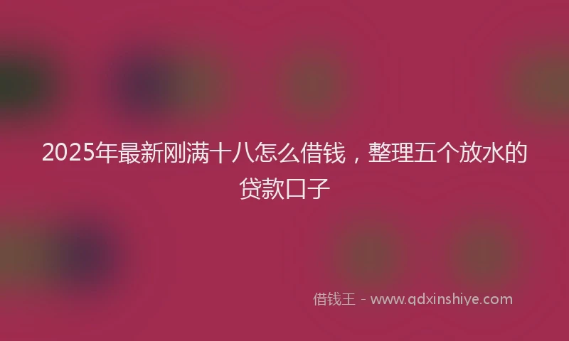2025年最新刚满十八怎么借钱，整理五个放水的贷款口子