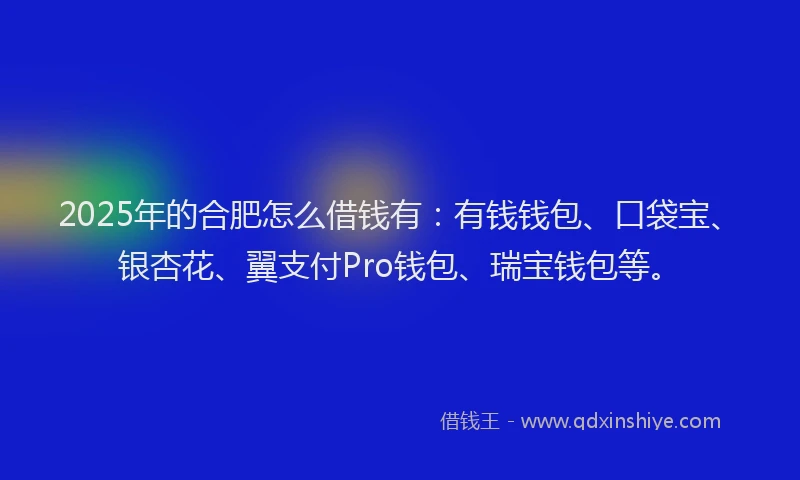 2025年的合肥怎么借钱有：有钱钱包、口袋宝、银杏花、翼支付Pro钱包、瑞宝钱包等。