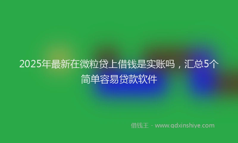 2025年最新在微粒贷上借钱是实账吗，汇总5个简单容易贷款软件