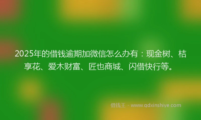 2025年的借钱逾期加微信怎么办有：现金树、桔享花、爱木财富、匠也商城、闪借快行等。