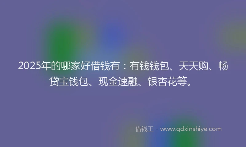 2025年的哪家好借钱有：有钱钱包、天天购、畅贷宝钱包、现金速融、银杏花等。