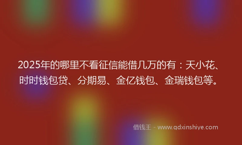 2025年的哪里不看征信能借几万的有：天小花、时时钱包贷、分期易、金亿钱包、金瑞钱包等。
