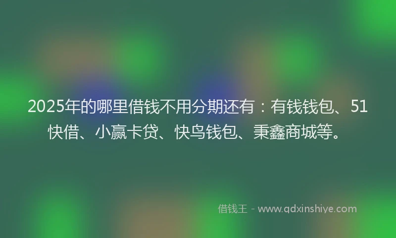 2025年的哪里借钱不用分期还有：有钱钱包、51快借、小赢卡贷、快鸟钱包、秉鑫商城等。
