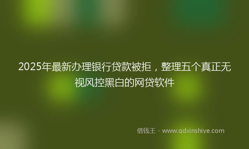 2025年最新办理银行贷款被拒，整理五个真正无视风控黑白的网贷软件