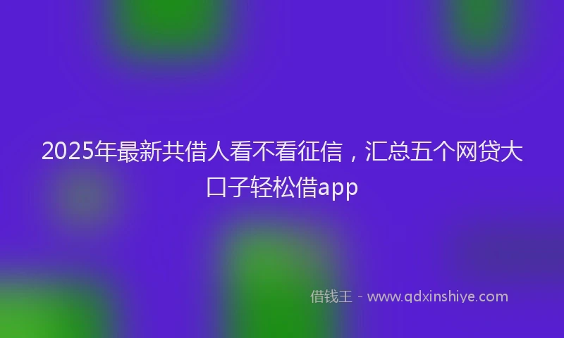 2025年最新共借人看不看征信，汇总五个网贷大口子轻松借app