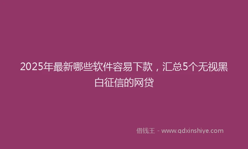 2025年最新哪些软件容易下款，汇总5个无视黑白征信的网贷