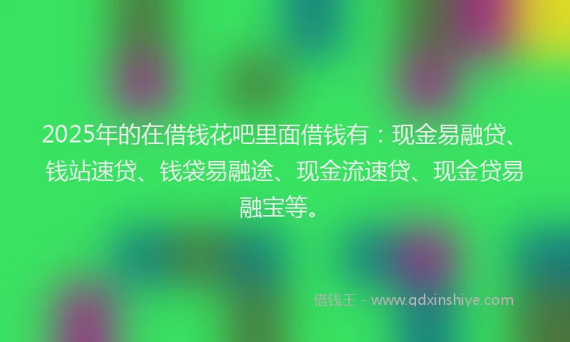 2025年的在借钱花吧里面借钱有：现金易融贷、钱站速贷、钱袋易融途、现金流速贷、现金贷易融宝等。