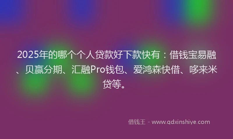2025年的哪个个人贷款好下款快有：借钱宝易融、贝赢分期、汇融Pro钱包、爱鸿森快借、哆来米贷等。