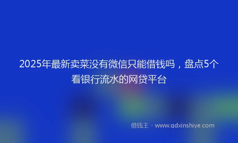 2025年最新卖菜没有微信只能借钱吗，盘点5个看银行流水的网贷平台