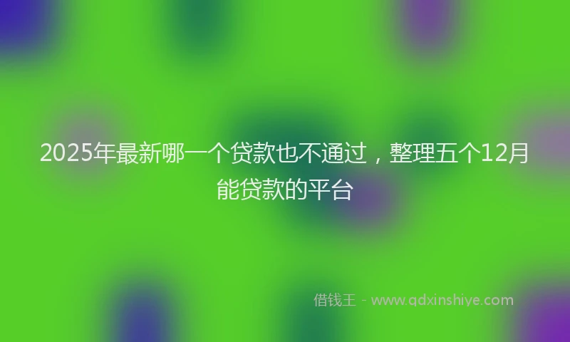 2025年最新哪一个贷款也不通过，整理五个12月能贷款的平台
