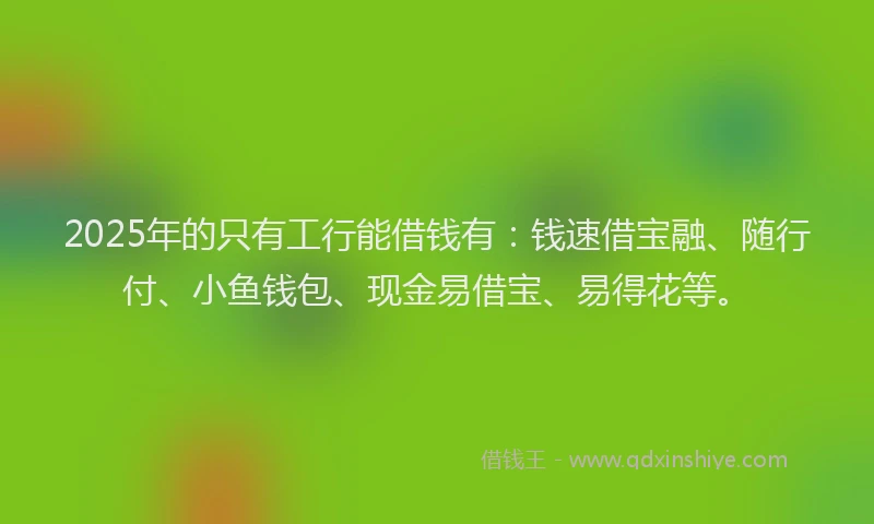 2025年的只有工行能借钱有：钱速借宝融、随行付、小鱼钱包、现金易借宝、易得花等。