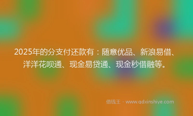 2025年的分支付还款有：随意优品、新浪易借、洋洋花呗通、现金易贷通、现金秒借融等。