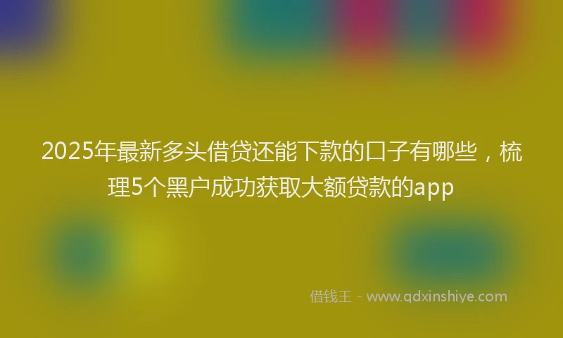 2025年最新多头借贷还能下款的口子有哪些，梳理5个黑户成功获取大额贷款的app