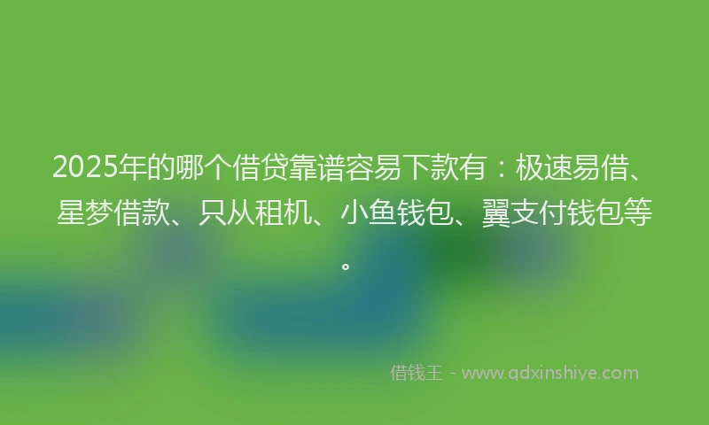 2025年的哪个借贷靠谱容易下款有：极速易借、星梦借款、只从租机、小鱼钱包、翼支付钱包等。