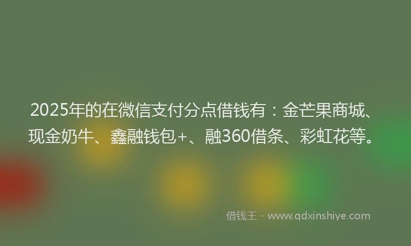 2025年的在微信支付分点借钱有：金芒果商城、现金奶牛、鑫融钱包+、融360借条、彩虹花等。