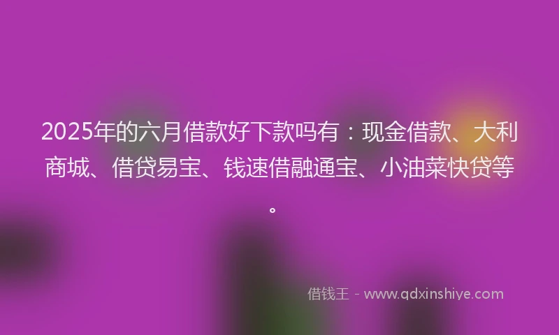 2025年的六月借款好下款吗有：现金借款、大利商城、借贷易宝、钱速借融通宝、小油菜快贷等。