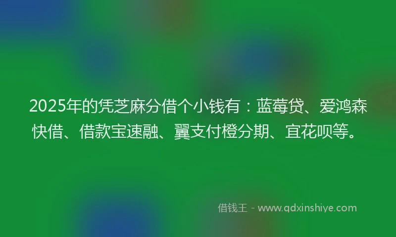 2025年的凭芝麻分借个小钱有：蓝莓贷、爱鸿森快借、借款宝速融、翼支付橙分期、宜花呗等。