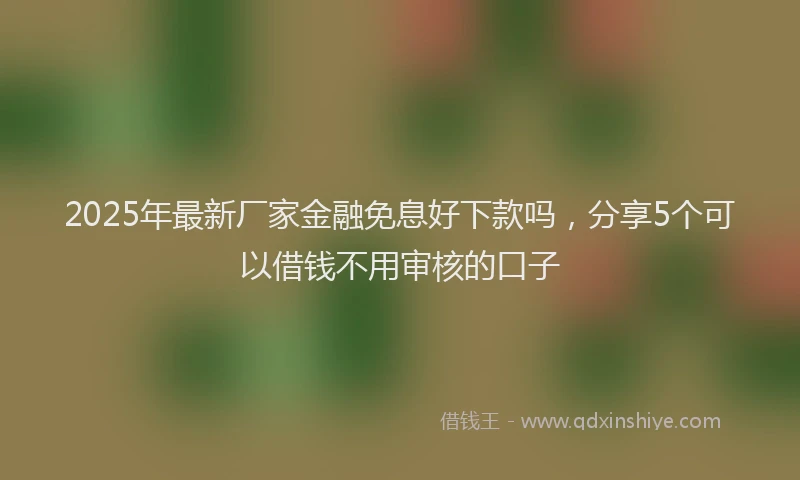 2025年最新厂家金融免息好下款吗，分享5个可以借钱不用审核的口子