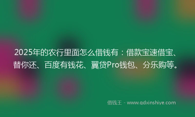 2025年的农行里面怎么借钱有：借款宝速借宝、替你还、百度有钱花、翼贷Pro钱包、分乐购等。