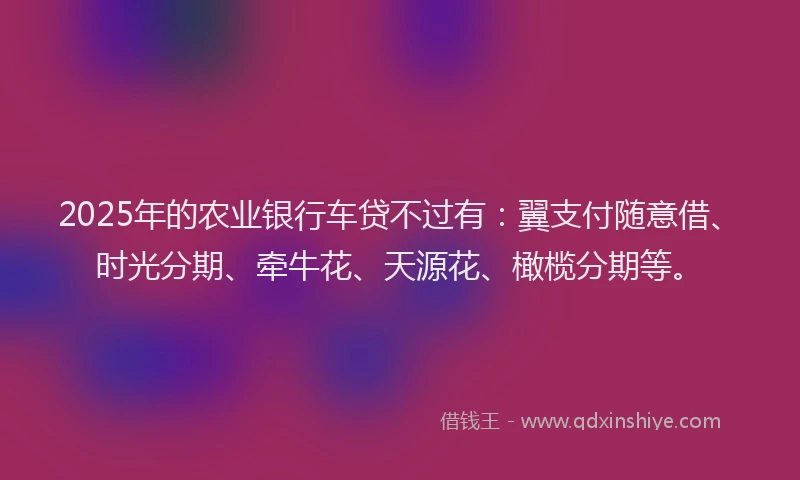 2025年的农业银行车贷不过有：翼支付随意借、时光分期、牵牛花、天源花、橄榄分期等。